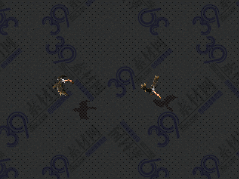 145.gif